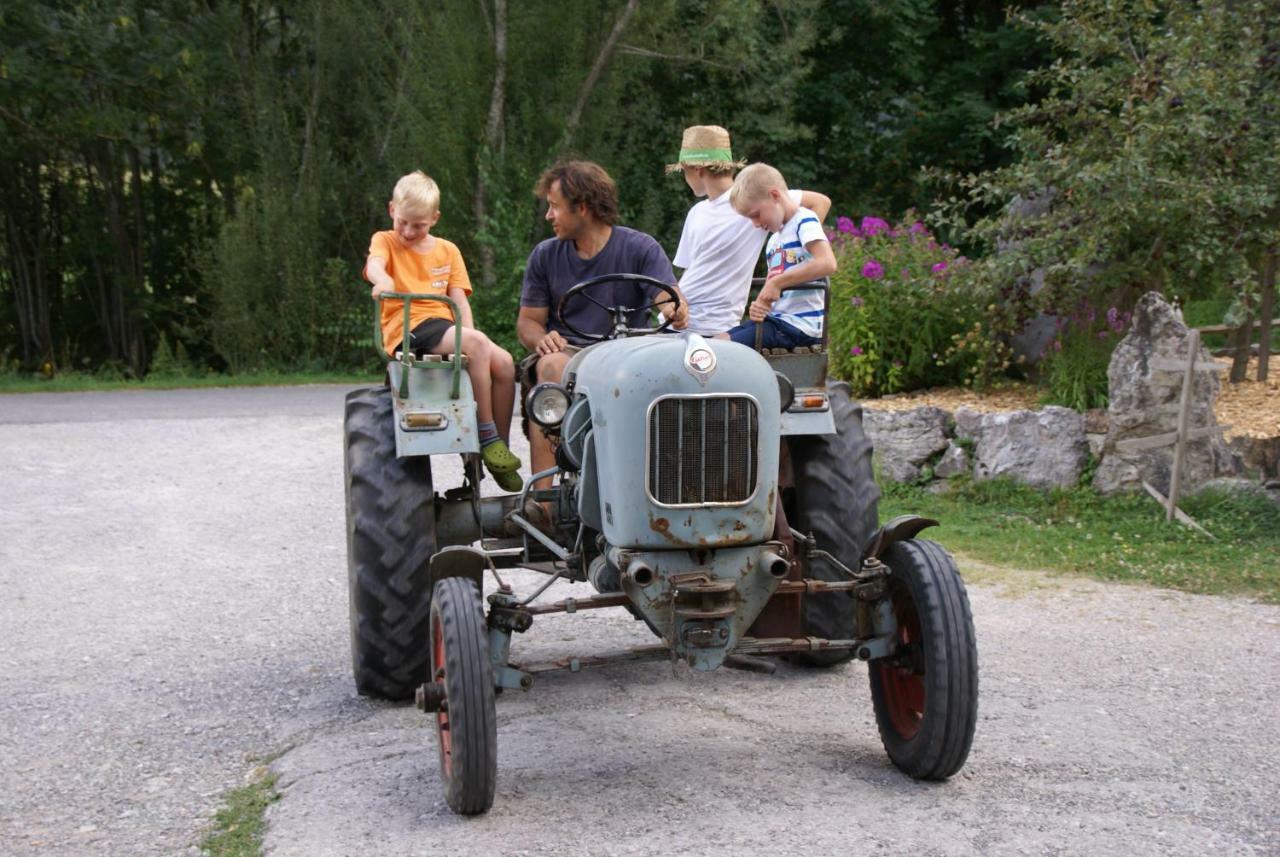 Farm stay Bauernhof Waldesruh Tannheim